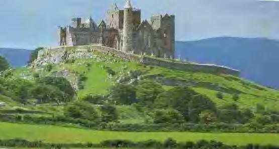 Leprechauns speak out!: The Kings of Ireland